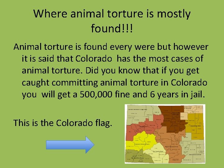 Where animal torture is mostly found!!! Animal torture is found every were but however