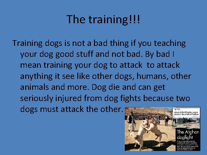 The training!!! Training dogs is not a bad thing if you teaching your dog