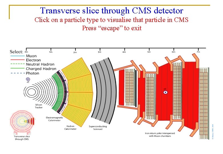 Transverse slice through CMS detector Click on a particle type to visualise that particle