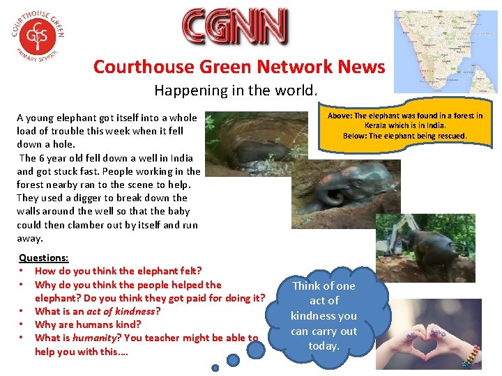 Courthouse Green Network News Happening in the world. A young elephant got itself into