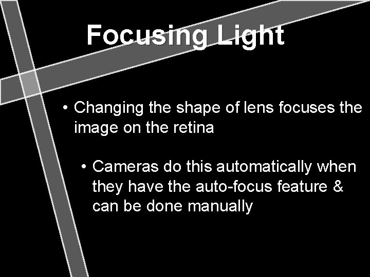 Focusing Light • Changing the shape of lens focuses the image on the retina