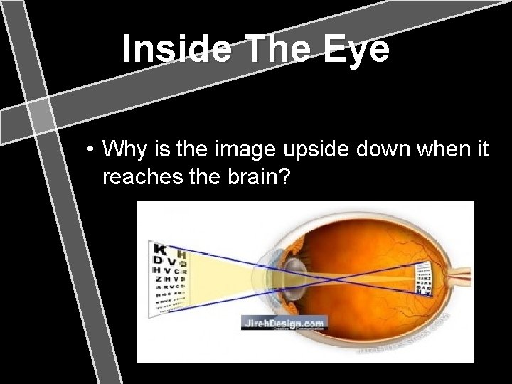 Inside The Eye • Why is the image upside down when it reaches the