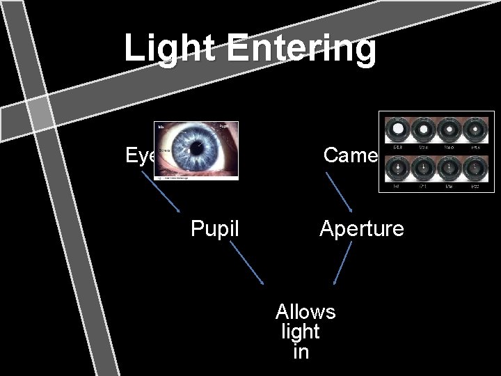 Light Entering Eye Camera Pupil Aperture Allows light in 