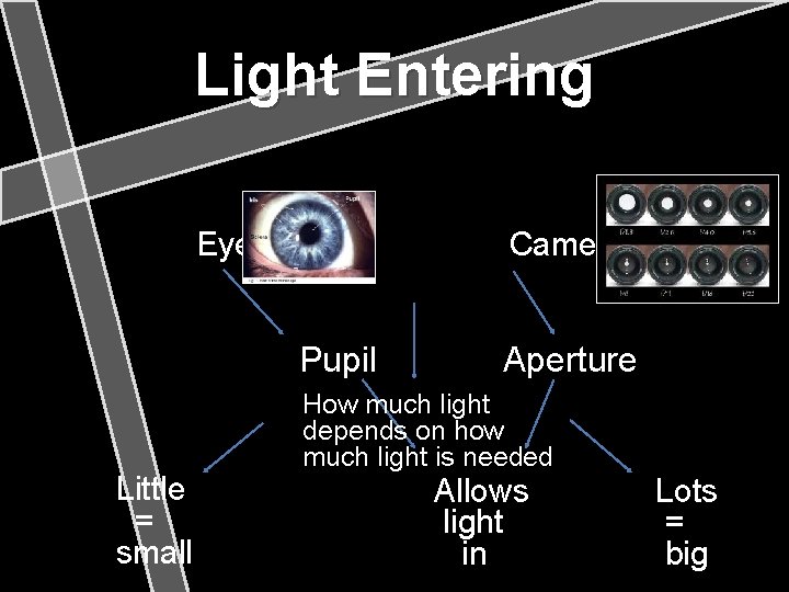 Light Entering Eye Camera Pupil Little = small Aperture How much light depends on