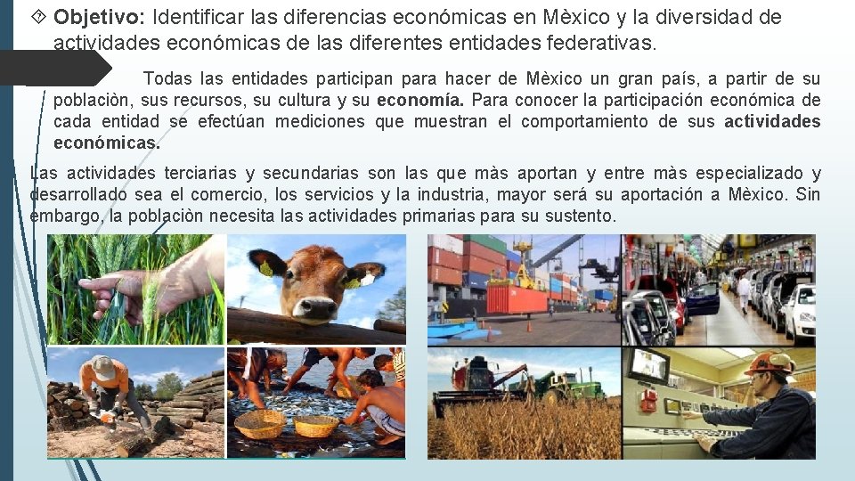  Objetivo: Identificar las diferencias económicas en Mèxico y la diversidad de actividades económicas