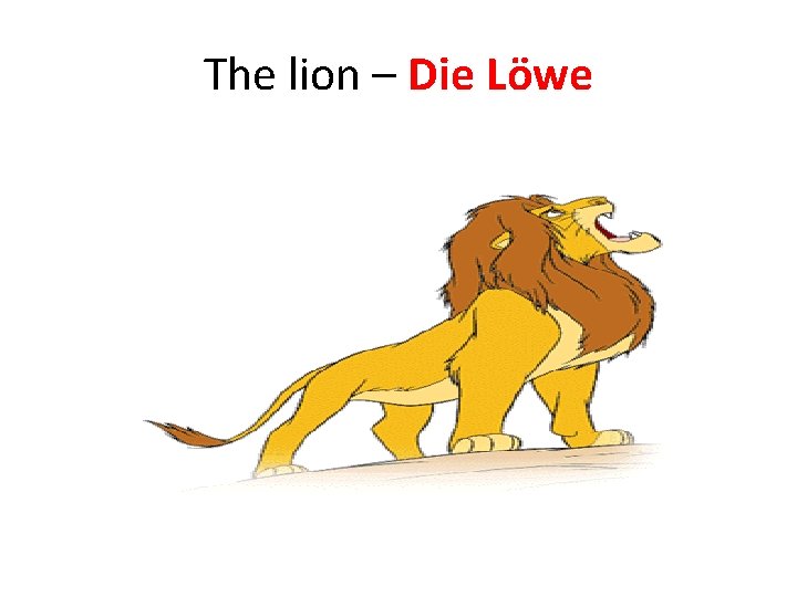 The lion – Die Löwe 