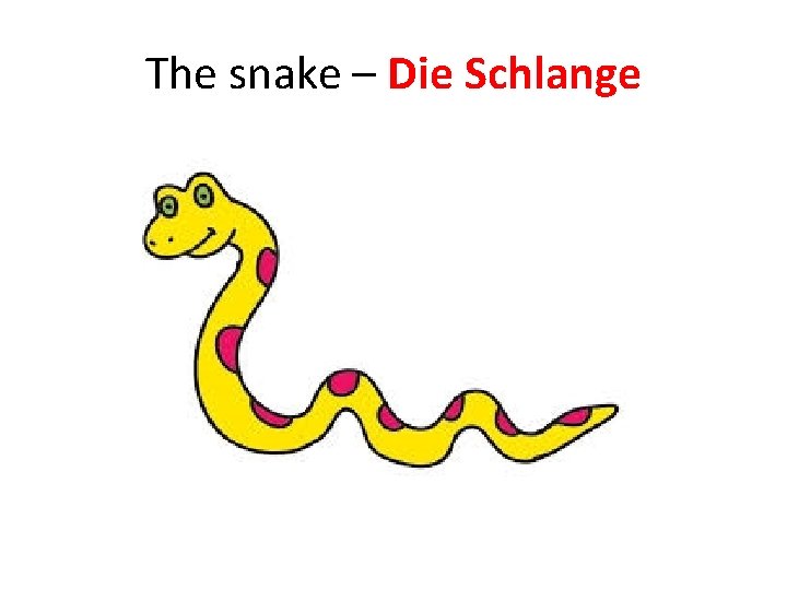 The snake – Die Schlange 