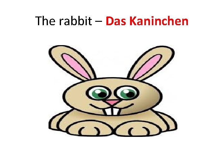 The rabbit – Das Kaninchen 