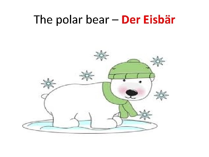 The polar bear – Der Eisbär 