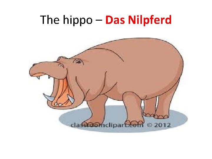 The hippo – Das Nilpferd 