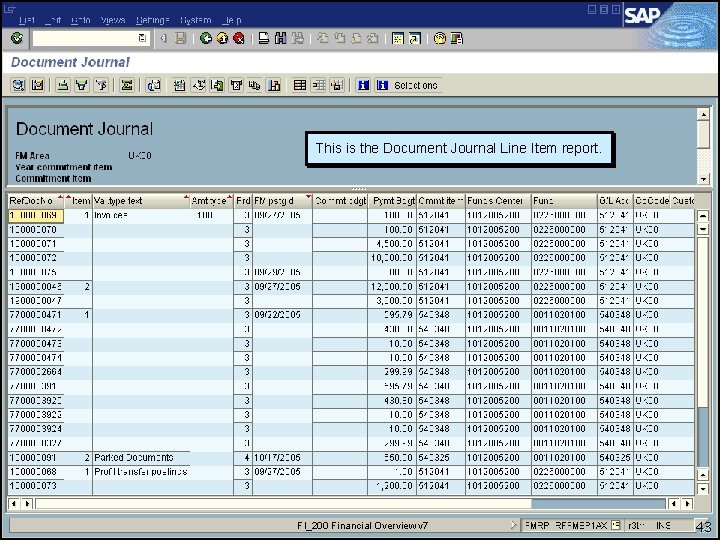 This is the Document Journal Line Item report. FI_200 Financial Overview v 7 43