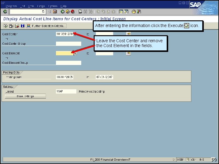 After entering the information click the Execute icon. Leave the Cost Center and remove