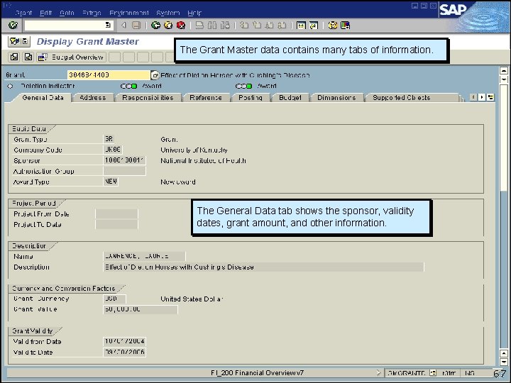 The Grant Master data contains many tabs of information. The General Data tab shows