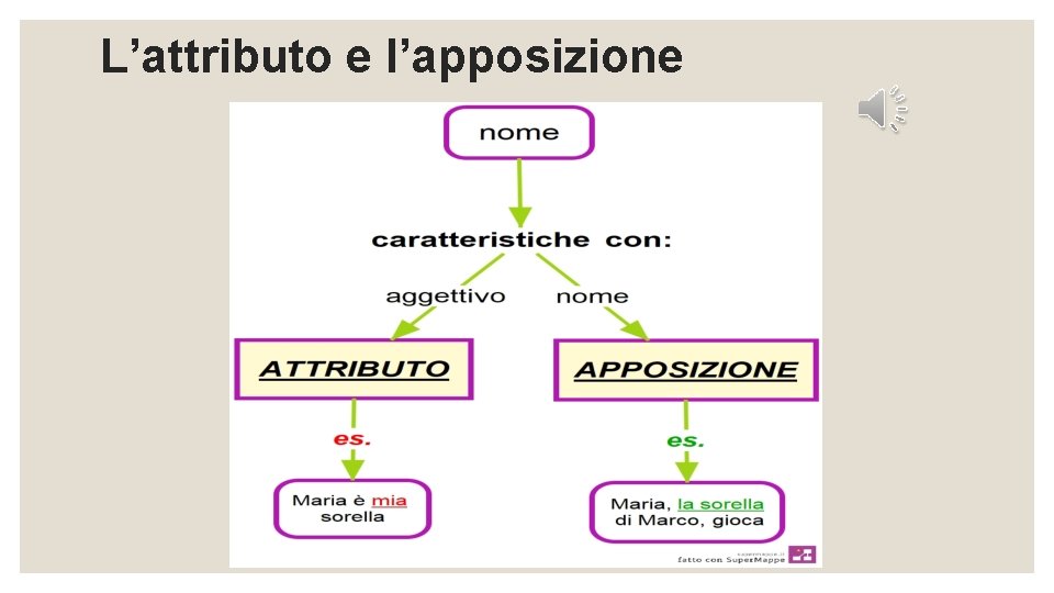 L’attributo e l’apposizione 