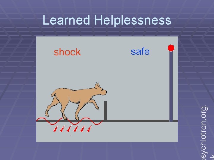 sychlotron. org. Learned Helplessness 