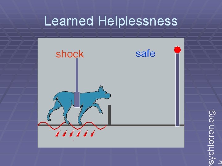 sychlotron. org. Learned Helplessness 