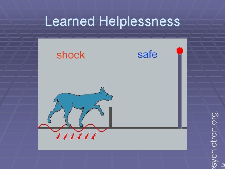 sychlotron. org. Learned Helplessness 