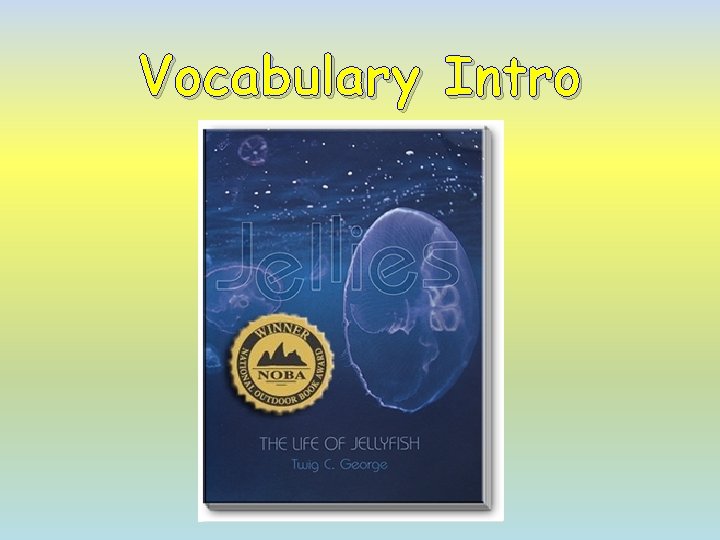 Vocabulary Intro 