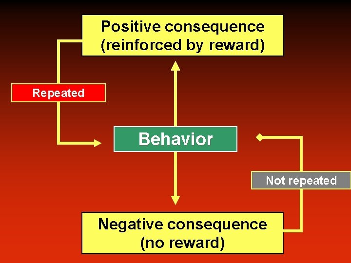 Positive consequence (reinforced by reward) Repeated Behavior Not repeated Negative consequence (no reward) 