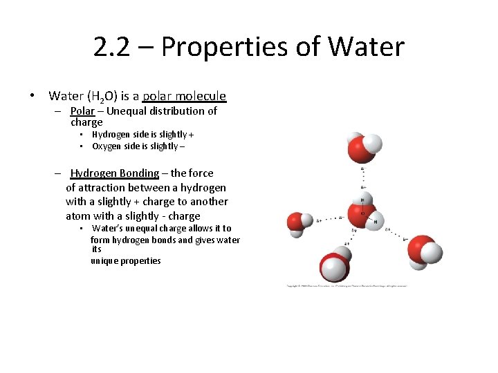 2. 2 – Properties of Water • Water (H 2 O) is a polar
