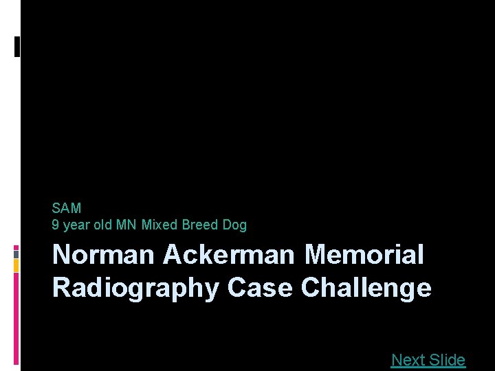 SAM 9 year old MN Mixed Breed Dog Norman Ackerman Memorial Radiography Case Challenge