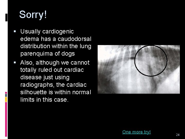 Sorry! § Usually cardiogenic edema has a caudodorsal distribution within the lung parenquima of