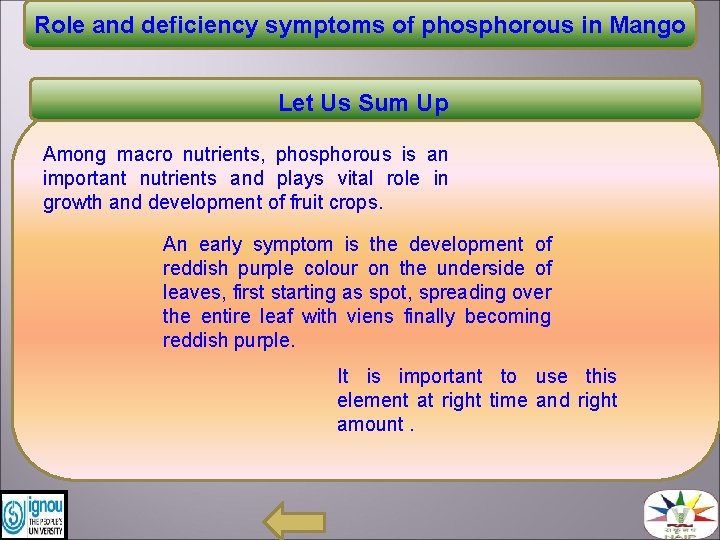 Role and deficiency symptoms of phosphorous in Mango Let Us Sum Up Among macro
