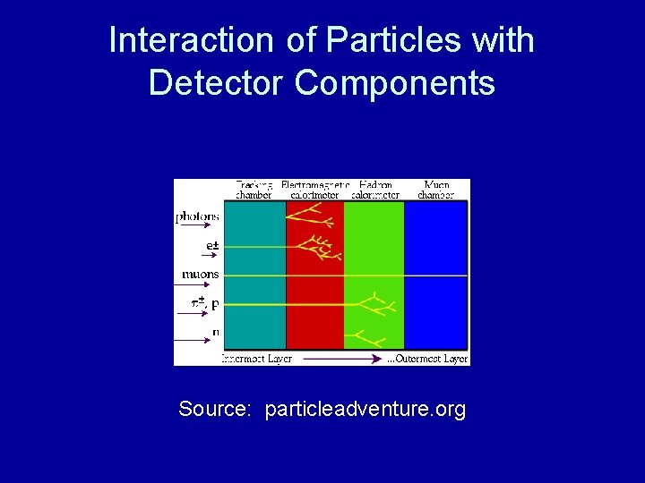 Interaction of Particles with Detector Components Source: particleadventure. org 