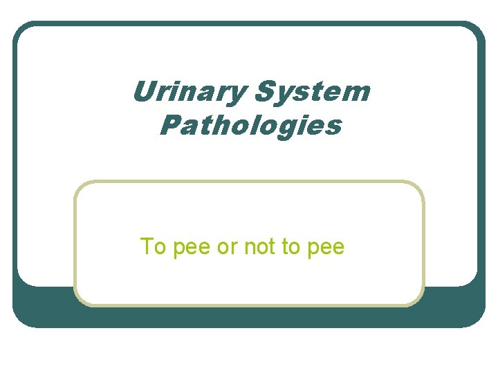 Urinary System Pathologies To pee or not to pee 