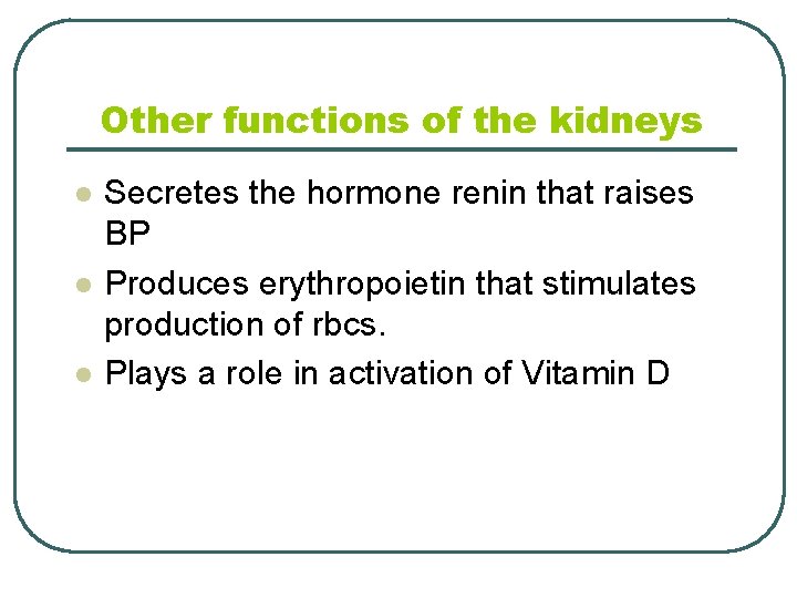 Other functions of the kidneys l l l Secretes the hormone renin that raises