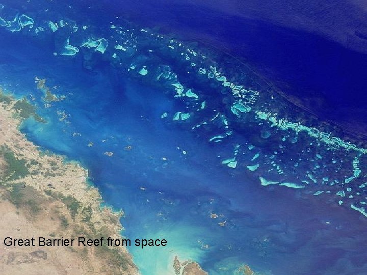 Great Barrier Reef from space 