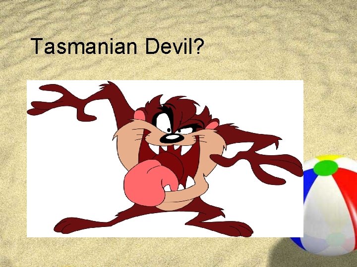Tasmanian Devil? 