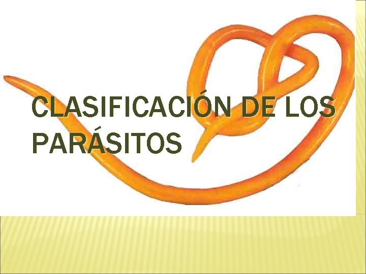 CLASIFICACIÓN DE LOS PARÁSITOS 