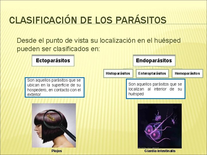 CLASIFICACIÓN DE LOS PARÁSITOS Desde el punto de vista su localización en el huésped