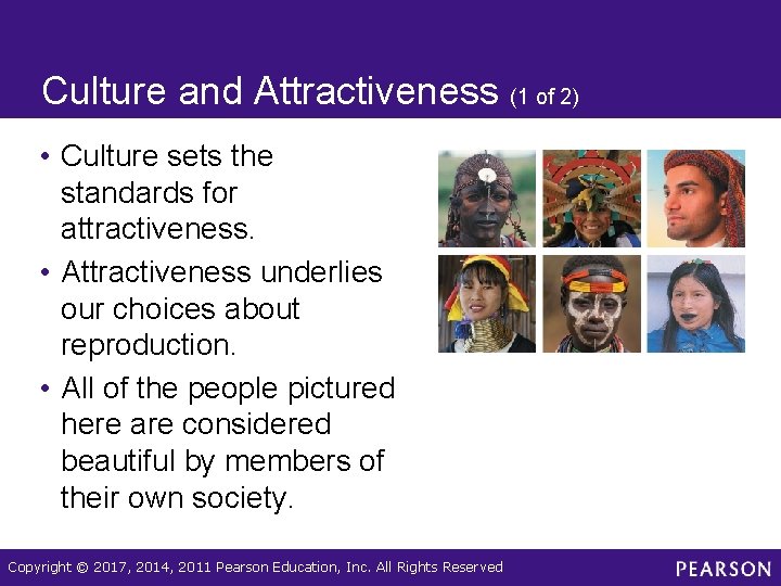 Culture and Attractiveness (1 of 2) • Culture sets the standards for attractiveness. •