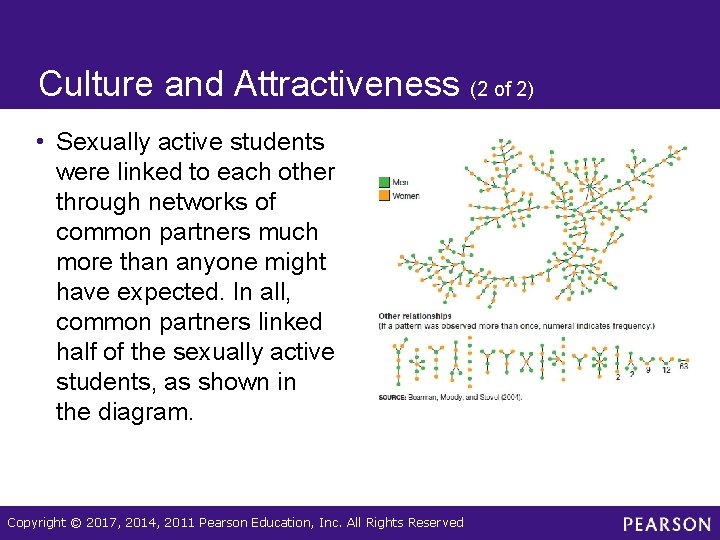 Culture and Attractiveness (2 of 2) • Sexually active students were linked to each