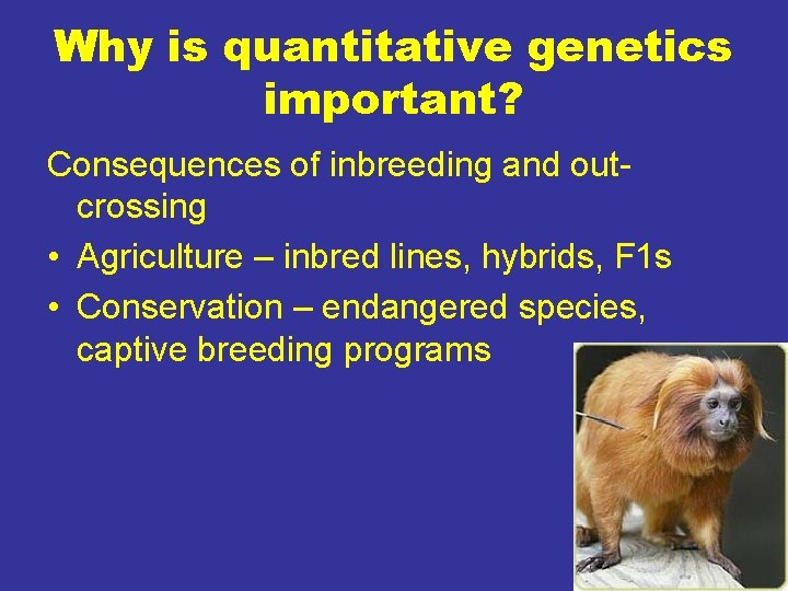 Why is quantitative genetics important? Consequences of inbreeding and outcrossing • Agriculture – inbred