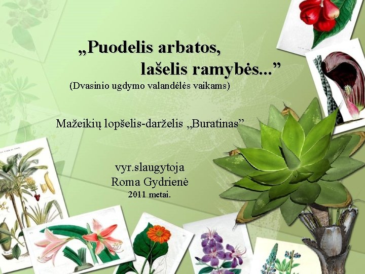 „Puodelis arbatos, lašelis ramybės. . . ” (Dvasinio ugdymo valandėlės vaikams) Mažeikių lopšelis-darželis „Buratinas”