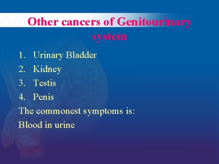 Other cancers of Genitourinary system 1. Urinary Bladder 2. Kidney 3. Testis 4. Penis