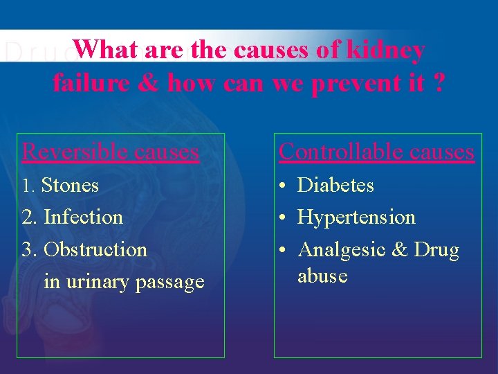 What are the causes of kidney failure & how can we prevent it ?