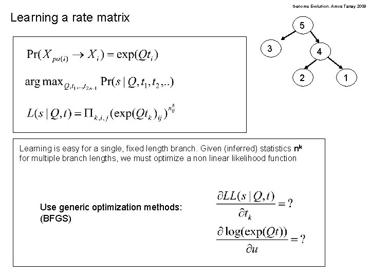 Genome Evolution. Amos Tanay 2009 Learning a rate matrix 5 3 4 2 Learning