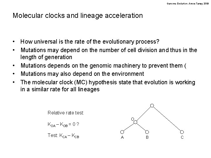 Genome Evolution. Amos Tanay 2009 Molecular clocks and lineage acceleration • How universal is
