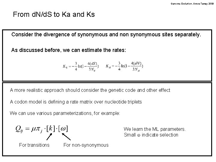 Genome Evolution. Amos Tanay 2009 From d. N/d. S to Ka and Ks Consider