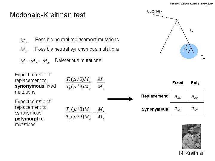 Genome Evolution. Amos Tanay 2009 Mcdonald-Kreitman test Outgroup Tb Possible neutral replacement mutations Possible