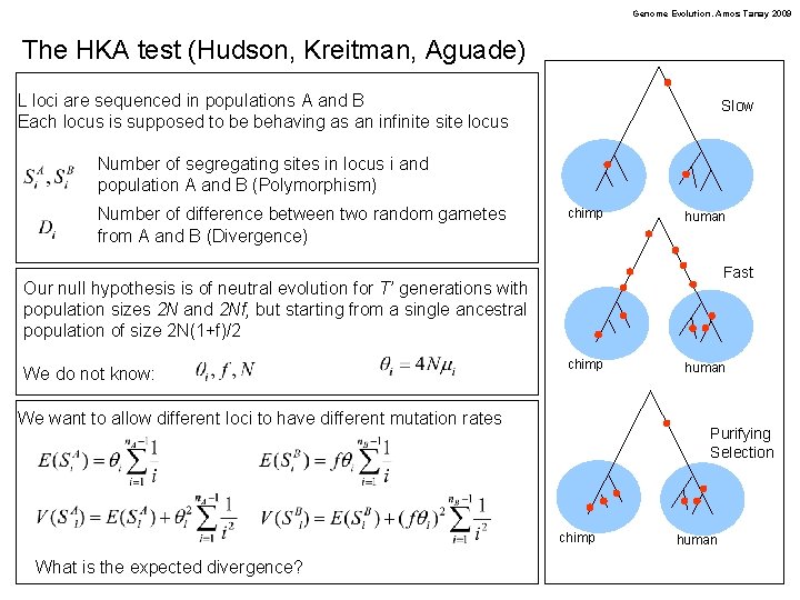 Genome Evolution. Amos Tanay 2009 The HKA test (Hudson, Kreitman, Aguade) L loci are
