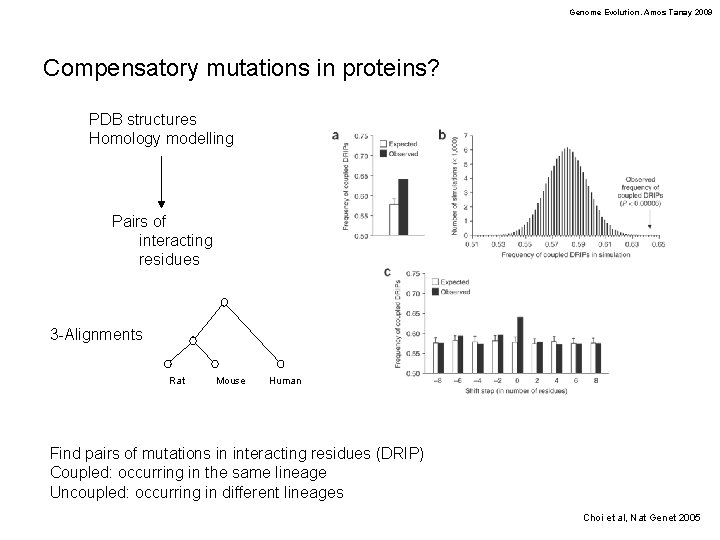 Genome Evolution. Amos Tanay 2009 Compensatory mutations in proteins? PDB structures Homology modelling Pairs