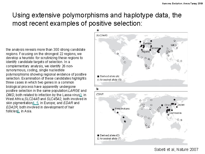 Genome Evolution. Amos Tanay 2009 Using extensive polymorphisms and haplotype data, the most recent