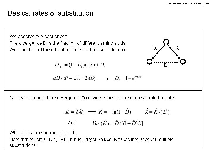 Genome Evolution. Amos Tanay 2009 Basics: rates of substitution We observe two sequences The