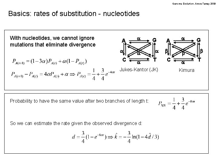 Genome Evolution. Amos Tanay 2009 Basics: rates of substitution - nucleotides With nucleotides, we