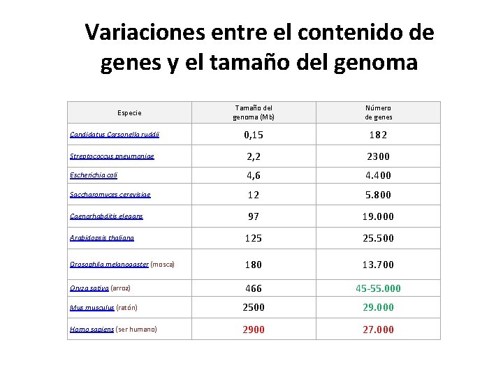 Variaciones entre el contenido de genes y el tamaño del genoma Tamaño del genoma